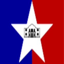 Flag with a large star, blue and red sides, and a central black and white building icon.