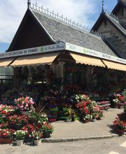 Blumenladen mit üppigen Pflanzen und farbenfrohen Blumen vor einem historischen Gebäude.