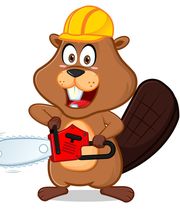 BAUMPFLEGE-SPIESS Logo