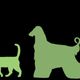 Grüne Silhouetten von einer Katze, zwei Hunden, einem Hund und einem Pferd auf schwarzem Hintergrund.