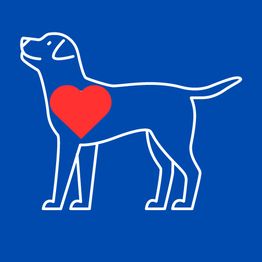 Dibujo de un perro blanco con un corazón rojo en el pecho sobre fondo azul.