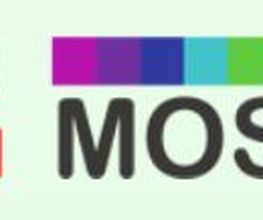 ProMosaik e.V. Logo
