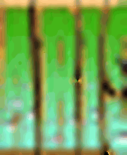 Zoo-Aquaristik-Hoh Logo