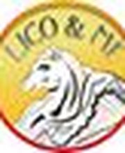 Logotipo circular con un tigre en el centro y el texto "Logo & Pic" arriba.