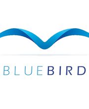 BLUEBIRD Consulting Logo