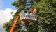 Person in lift pruning tree branches under a clear sky.