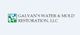 Logo of Galvan's Water & Mold Restoration, LLC with water droplets and mold design.
