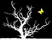 Weiße Baum-Silhouette auf schwarzem Hintergrund, gelber Schmetterling oben rechts.