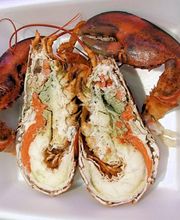 Pizzeria Vulcanello Logo