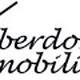 Schriftzug "Oberdorf Immobilien" in stilisiertem Design mit Linien.