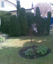 Von der Wildnis ins Paradies