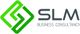 Logo di SLM Business Consultancy con design geometrico verde e testo grigio.
