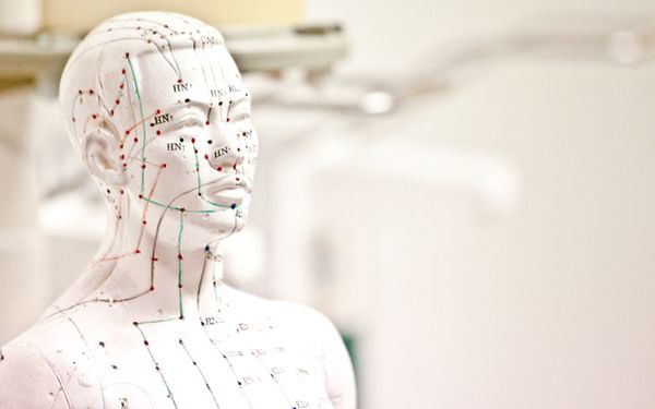 Meridiane in der Traditionellen Chinesischen Medizin