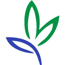 Blau-grüne abstrakte Blattform auf weißem Hintergrund.