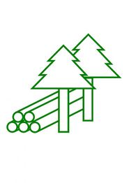 Grüne Zeichnung von zwei Tannenbäumen und fünf Baumstämmen nebeneinander auf weißem Hintergrund.