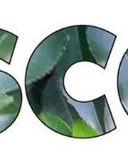 Heckendiscount.com Logo