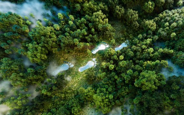 Wasser Fußabdruck in der Natur