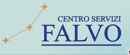 Logo con testo "Centro Servizi Falvo" e tre stelle collegate da una linea. Sfondo azzurro chiaro.