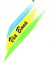 Logo mit bunten Pinselstrichen in Blau, Gelb, Grün; Text: Via Bona in schwarzer Schrift.