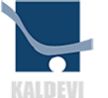 Logotipo con un cuadrado azul, curva blanca y texto "KALDEVI".