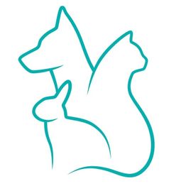 Umriss von Hund, Katze und Hase in türkis.