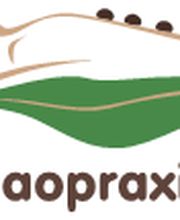 Daopraxis