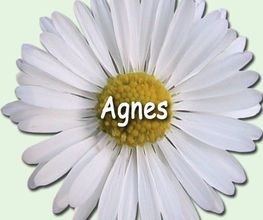 Agnes Logo