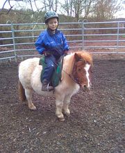 Ponyreiten