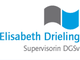 Grau-blaues Logo mit Schriftzug: "Elisabeth Drieling, Supervisorin DGSv".
