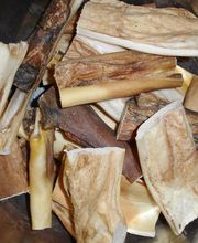 RINDERKOPFHAUT 15cm *honiggelb* dt. TOP-Qualität