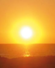 Tierbestattung Burkhard Höch Logo