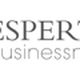 Logo con testo "ESPERTOSEO businessnetworkers" e grafica astratta a sinistra.