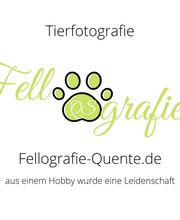 Fellografie Quente Logo