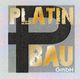 Logo mit dem Text "Platin Bau GmbH" in goldener und schwarzer Schrift auf grauem Hintergrund.