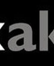 e-xakt! marketing solutions frank ecker Logo