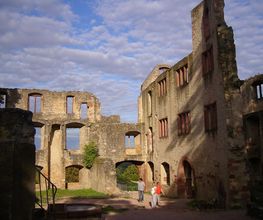 Touren in Rheinhessen - Rheingau - Rhein-Main-Gebiet