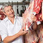 Butcher inspecting hanging meat in a shop.