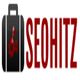 Logo with a briefcase icon and the text "SEOHITZ" in bold red letters.