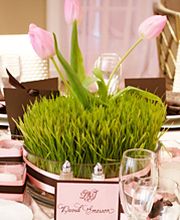 Wir machen aus Räumen Träume