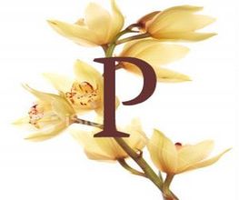 Prapa Thaimassage Logo
