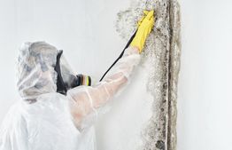 Person in protective gear cleaning mold off a wall.
