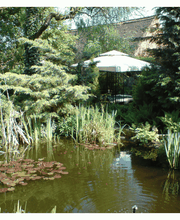 Teich und Himmelbett im Freien