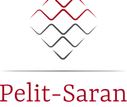 Rechtsanwaltskanzlei Pelit-Saran Logo