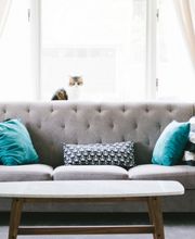 Sala moderna con sofá gris, cojines azules, mesa de centro y un gato en la ventana.