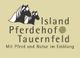 Logo mit zwei Pferdeköpfen, Text: Island Pferdehof Tauernfeld. Mit Pferd und Natur im Einklang.