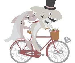 Hai-Rad GbR Logo