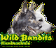 Zwei Hunde mit Schriftzug "Wild Bandits Hundeschule" in bunten Lettern.
