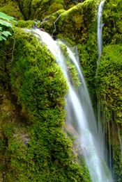 Kleiner Wasserfall fließt über moosbedeckte Felsen im Wald.