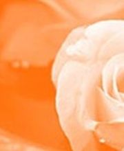 cocoon massage & gesundheits company Logo