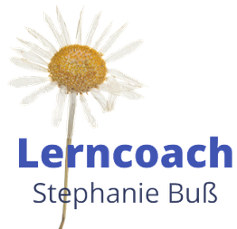 Weiße Blume neben dem blauen Text "Lerncoach Stephanie Buß".